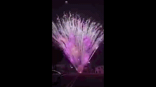【第三弹】给大家拜个早年,新年快乐。